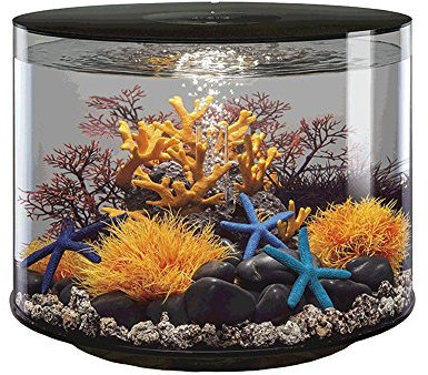 biOrb Tube 35L schwarz Aquarium mit MCR LED Beleuchtung