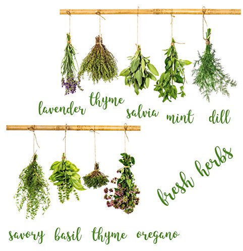 Eurographics Herb Collection 25x35 Wandsticker, Papier, grün, 35 x 25 x 0.4 cm