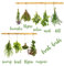 Eurographics Herb Collection 25x35 Wandsticker, Papier, grün, 35 x 25 x 0.4 cm