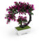 LWLWA Plástico Plantas Artificiales Pequeñas, Gradiente de Color Plantas Artificiales Interior, Hermoso Plantas Artificiales Realistas, Alivia la Fatiga Natural, para Balcón, Decoración de Oficina