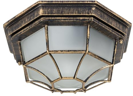 ARTE LAMP Luce a soffitto esterna in metallo nero con paraluce in vetro bianco – Lampada con cavo