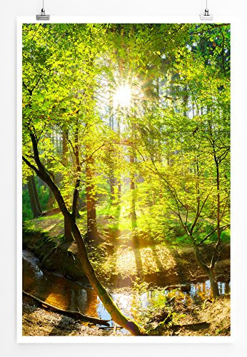 Eau Zone Bilder - Landschaft Natur – Waldbach in der Sonne- Leinwand Kunstdrucke Wandbilder aus Deutschland