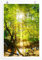 Eau Zone Bilder - Landschaft Natur – Waldbach in der Sonne- Leinwand Kunstdrucke Wandbilder aus Deutschland