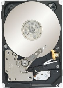 Seagate Technology Constellation.2 ST91000640NS Interne Festplatte HDD (1 TB, 7200 U/min, SATA, 6 Gbit/s, 2,5 Zoll, 64 MB Puffer)