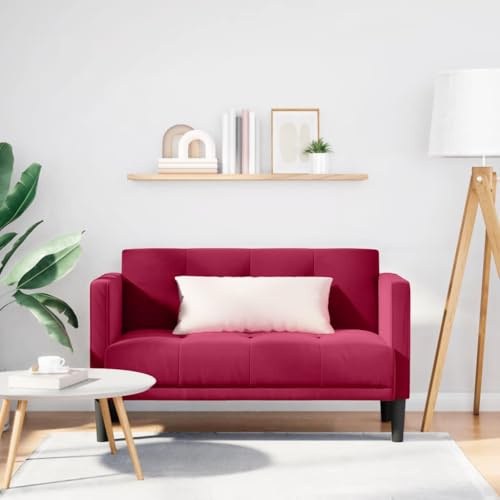 Fangmaliuyun Zweisitzer-Sofa Weinrot Samt 124 x 67 x 74,5 cm mit Federkern, modernes kleines Wohnzimmer-Sofa Couch für Living Room Jugendzimmer Büro