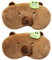 Bemvp 2 Stück Augenmaske Zum Schlafen, Süße Capybara-augenabdeckung, Plüsch-schlafmaske, Cartoon-Tier-augenschutz, Augenabdeckung, Reise-augenabdeckung Für Erwachsene Und Kinder
