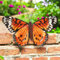 Epsom Door Handle Metal Butterfly Wall Art – 3D Hand-Painted Indoor/Outdoor Decoration for Fence, Garden, Patio or Home | Weatherproof Metal Décor – 6 Colours & 2 (Large Orange Butterfly)