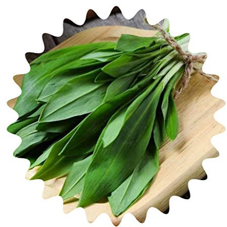 Aglio selvatico/circa 50 semi/arieti/cibo sano/tipo aglio