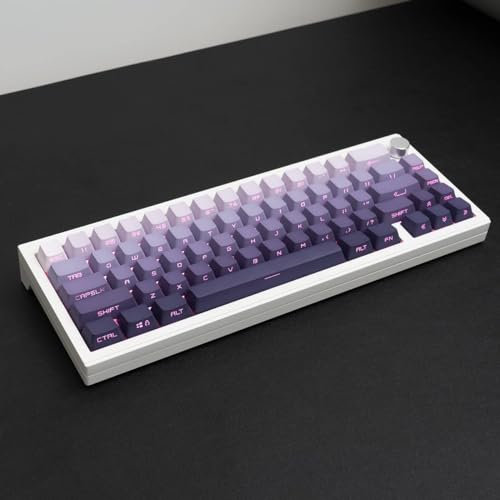 PBT Doubleshot Purple Keycaps Gradient Backlit Side Print OEM Profile Keycaps Shine Through Custom Keycaps Set 105 Tasten für Cherry Gateron MX Switches Mechanische Tastatur