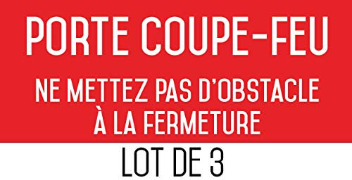 Autocollant vinyl - Porte coupe-feu ne mettez pas d'obstacle à la fermeture - L.200 x H.100 mm - 3