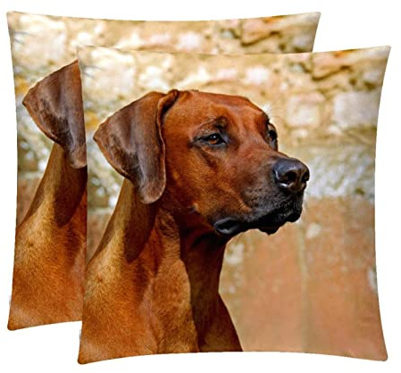 Deko-Kissenbezug, Rhodesian Ridgeback, 2 Stück, personalisierbar