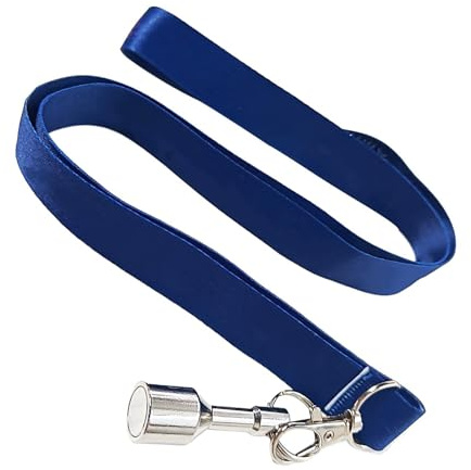 Bezijhr Boccia Kugel Aufhebeset, Boccia Bälle Greifer Set, Bocce Kugel Aufnehmer, Magnetischer Aufheber Mit Seil, Boules Kugels Magnet Aufhebe Werkzeug Für Training, Wettkampf, Sand, Rasen, Garten