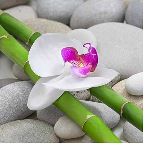 levandeo Glasbild 30 x 30 cm Orchideen Wandbild Bambus Glas Wellness Relax Wanddeko Einrichtung Bild