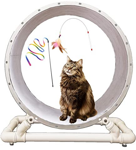 Katzenlaufrad Großes Katzenrad-Laufband mit Katzenstab, Hochleistungs-Laufband für Katzen, Das mit Acrylrädern Läuft, Leises Katzen-Ferris-Spielzeug für Den Innenbereich ( Size : L-Diameter 105cm(41 3