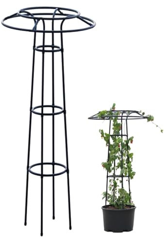 Metal Garden Climbing Plant Support Frame for Wisteria Vine Rose Flower Tomato Rustproof Umbrella Design Outdoor Plant Stand (145cm/225cm)