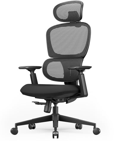 ProtoArc EC300 Bürostuhl Ergonomisch, Schreibtischstuhl mit Höhenverstellbarer Rückenlehne, Lendenwirbelstütze & Sitztiefe, Computerstuhl mit 3D-Kopfstütze für Home Office, Schwarz