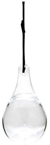 Esschert Design Fliegenfalle aus Glas, Ø 11 x 20 cm, 825 ml, Fliegenvertreiber mit Aufhänge-Kordel, Fliegenschreck ohne Giftstoffe, Schnur 60 cm