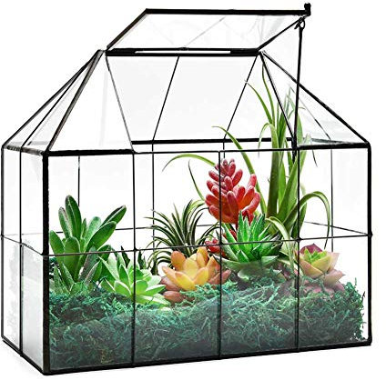 Grand Terrarium en Verre – Terrarium en Forme de Maison en Verre avec Couvercle 24 x 20 x 14 cm NA