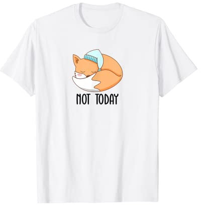Not Today Süßer Schlaf Fuchs Fuchsschwanz Geschenkidee T-Shirt