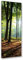 Feeby Impression sur Toile Intissé Forêt Nature 30x90 cm Image Moderne Tableau Déco Mural Salle De Séjour Rayons De Soleil vert