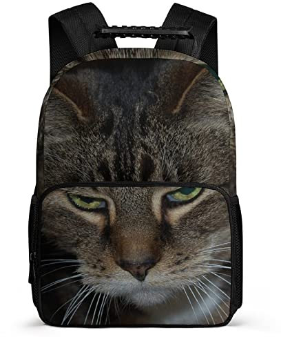 Dragonfy Kinder Schulrucksack Katze Kinder Kinder Schulrucksack Herren Damen Schulrucksack, Reisetasche, Schultasche (40x28x16cm) 3D coole Schultasche