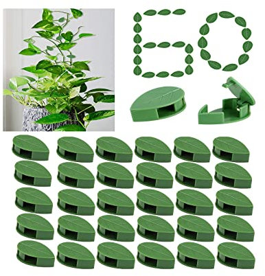 KOCNYDEY 60 Pcs Plant Climbing Wall Fixture Clips Acrylic Self-Adhesive Sticker Plant Fixer Vine Traction Invisible Holder Climbing Plant Green Leaf Vines Hook Fixing Clip Indoor Outdoor Decoration