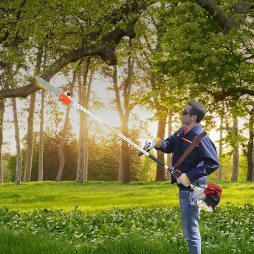 BRRIDE 43CC 2-Takt Hochentaster Benzin 1,5m Stablänge, 1250W 1.7HP Fachmännisch Hochastsäge, Baumschneider für Pruner Tree Baumschnitt im Garten Maximaler Schnittdurchmesser: 20cm