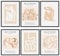 MONOKO® Premium Bilder Wohnzimmer | Matisse Poster Set Vintage Kunstdruck | Wandbilder Schlafzimmer 6x A4 ohne Rahmen