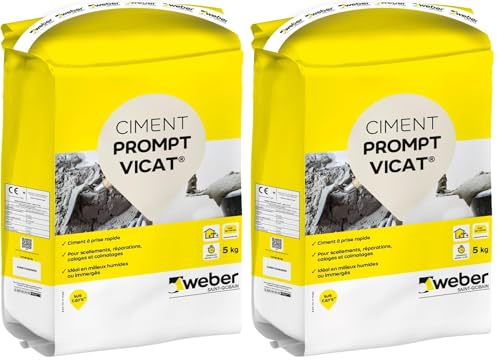 WEBER Ciment de prise rapide en milieux humides, 5kg, scellement urgent, réparations, rebouchage, PROMPT VICAT® (Lot de 2)