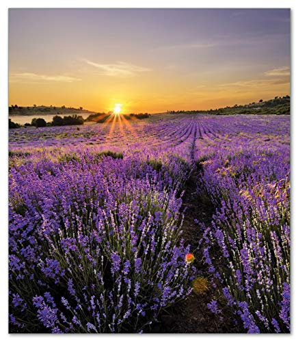 Wallario Herdabdeckplatte/Spritzschutz aus Glas, 52 x 60 cm, 1-teilig mit 8 mm hohen Füßen, für Ceran- und Induktionsherde, Sonnenuntergang über dem Lavendel