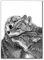 JIANGSHANDAIYOUCAIREN Noir et blanc animaux sauvages loup peinture à l'huile nordique poster impression salon décoration murale sans cadre-30x40cm