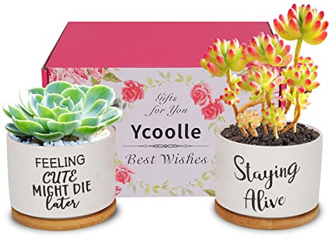 Ompinda Lustiger Sukkulenten-Blumentopf, 8,9 cm, Set mit 2 niedlichen Keramik-Pflanzgefäßen, Garten, Sukkulentententententopf mit Bambus-Tablett, Geburtstagsgeschenke für Mutter, Schwester oder