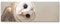 Paul Sinus Art Leinwandbilder | Bilder Leinwand 120x40cm Eulen Portrait