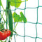 Premium Ranknetz mit großer Maschenweite für den perfekten Wachstum von Tomaten, Gurken und Kletterpflanzen Das Optimale Rankhilfe Netz für Garten und Gewächshaus - Maschnweite (10cm), Größe: 1 x 2m
