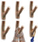 DEAYOU 6 Pack Wood Wall Hooks, Tree Branch Real Wooden Hooks for Hanging, Adhesive Farmhouse Rustic Hat Coat Hooks Wall Stickers for Towels, Bags, Scarves, Keys, Decoration (Width 2-3cm)