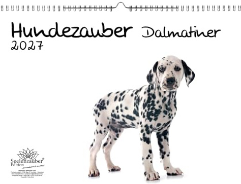 Hundezauber Dalmatiner DIN A3 Kalender für 2027 Welpen und Hunde - Seelenzauber