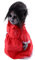 Zerodeko 1stück Halloween Gruseldoll Mit Sprachaktivierung Leuchtende Gehende Puppe Für Gruselige Partys Und Dekoration Ohne Batterie Requisit Für Schaurige Anlässe