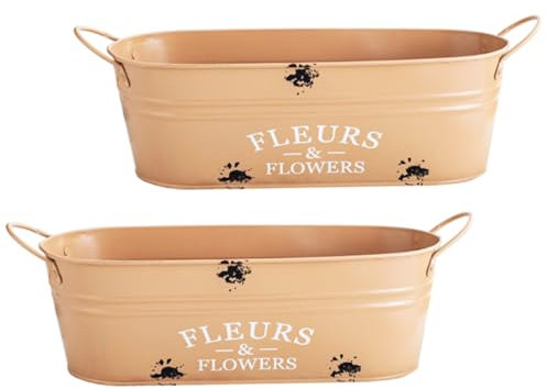 Abaodam 2stücke Metall Blumentopf Eisen Pflanztopf Garten Sukkulententopf Blumentöpfe Blumeneimer Eisenblumentopf Innenhof Dekoration Für Blumen Und Pflanzen