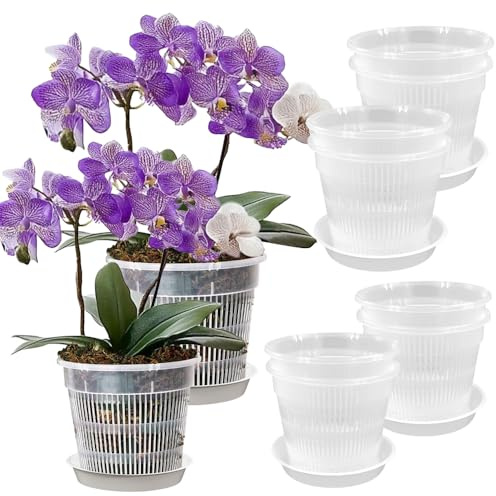 10 Uds Maceta Orquídea Plástico Transparente 14cm y 16cm con Drenaje | Macetero ventilado con bandejas incluidas, observa raíces para orquídeas suculentas epífitas y hierbas en interior y balcón