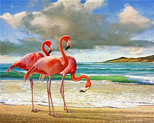 WOWDECOR Peinture Numéro Adulte Enfant, Rouge Flamingo Plage Bord de mer DIY Peinture par numero, Paint by Numbers