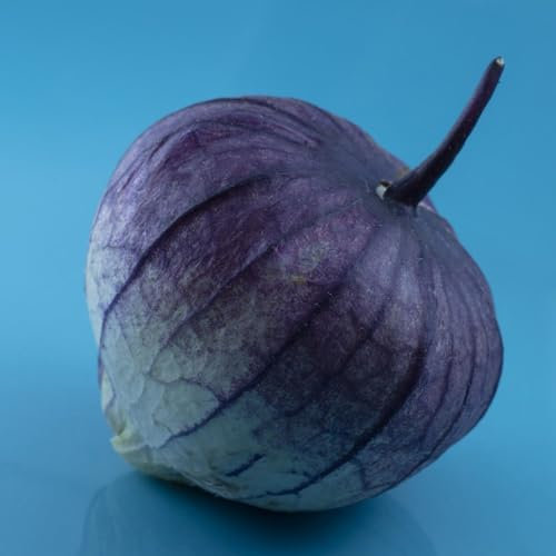 50 pcs physalis samen gartenpflanzen winterharte pflanzen für garten obst samen schattenpflanzen winterhart gartendeko für draußen pflanzen samen winterharte stauden geschenke für