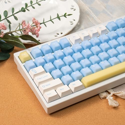 164 Taten Blue Translucent Keycaps Cherry Profile Doubleshot Tastenkappen | Fit für 61/64/87/104/108 Cherry Mx Schalter Mechanische Tastatur