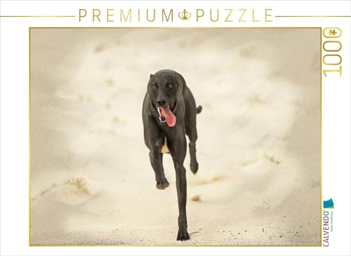 CALVENDO Puzzle EIN Motiv aus dem Kalender Galgo español - Spanische Windhunde in Bewegung | 1000 Teile Lege-Größe 64 x 48 cm Foto-Puzzle für glückliche Stunden