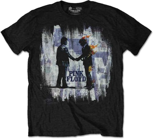 Rockoff Trade Men's Pink Floyd WYWH Painting T - Shirt, Black (Black Black), X-Large