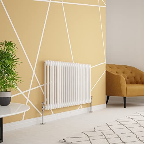 Warmehaus Radiateur traditionnel à double colonne en fonte horizontale Blanc 600 x 1010 mm