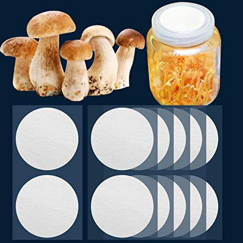 ZHANXUBIO Membranfilter-Aufkleber, 20 mm, 58 mm, 65 mm, 82 mm, 90 mm, 0,2 um, stark haftende Filterscheibe für Pilzzucht (90 mm, 12)