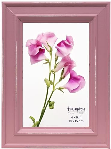Inspire By Hampton Paloma IBH-PAL301946P Cadre photo en verre rose 10 x 15 cm