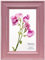 Inspire By Hampton Paloma IBH-PAL301946P Cadre photo en verre rose 10 x 15 cm