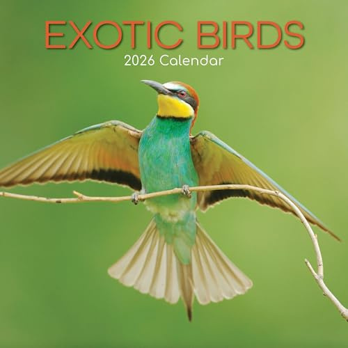 Exotic Birds – Exotische Vögel 2026 – 16-Monatskalender: Original Gifted Stationery-Kalender [Mehrsprachig] [Kalender] (Wall-Kalender)