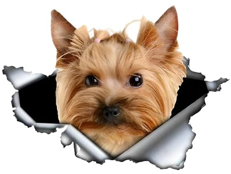 Autoaufkleber 25cm(9.8 Inch) Yorkshire Terrier Aufkleber Lustig Yorkshire Terrier Car Sticker Haustier Hund Wasserdichte Aufkleber 3D Zerrissen Metall Reflektierende Aufkleber Dekorative